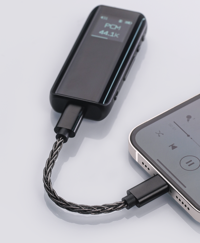 LT-LT2 – FIIO Japan